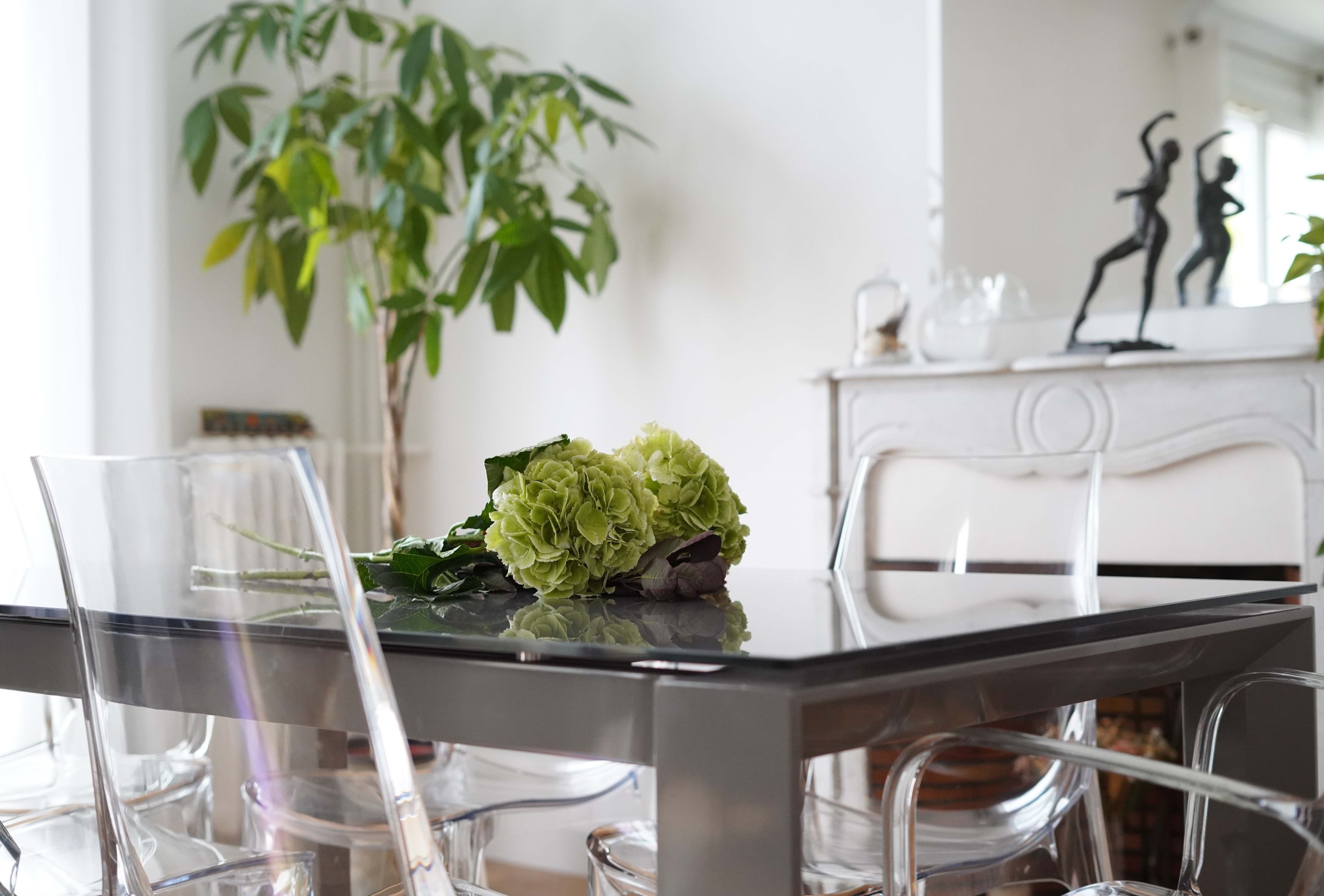 Reine Design - Architecture dinterieur - Appartement - Paris 14e